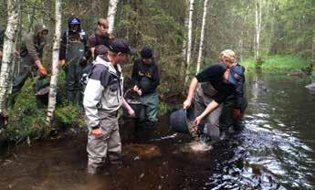 Under året har drygt 110 sportfiskeelever studerat på skolan.