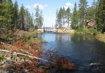 RESTAURERING AV SÄVARÅN Lyckat fiskevårdsarbete Under 2011 initierade Umeå fritid, Länsstyrelsen i Västerbotten, Holmen Skog AB och det lokala fiskevårdsområdet en flottledsrestaurering av Sävarån