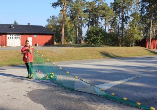 a b Figur 3 a och b. Landvaden som användes. Foto: Lena Svensson. Fisket med landvaden utgick från stranden och genomfördes av två personer. En 100 meter lång sträcka mättes upp längs med stranden.
