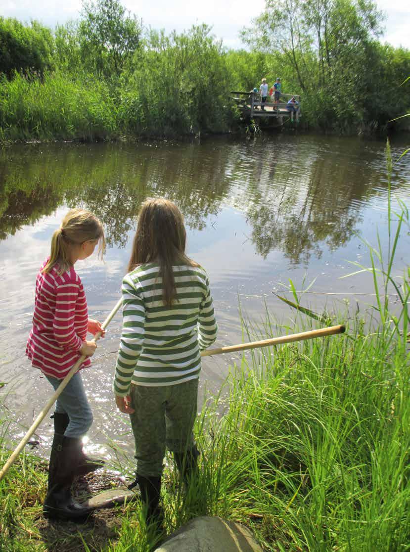 8 BIOSFÄROMRÅDE KRISTIANSTADS VATTENRIKE HANDLINGSPROGRAM 2016-2020 Stödja Ett av målen i Unsescos biosfärprogram är att främja forskning och utbildning om biologisk mångfald och hållbarhet.