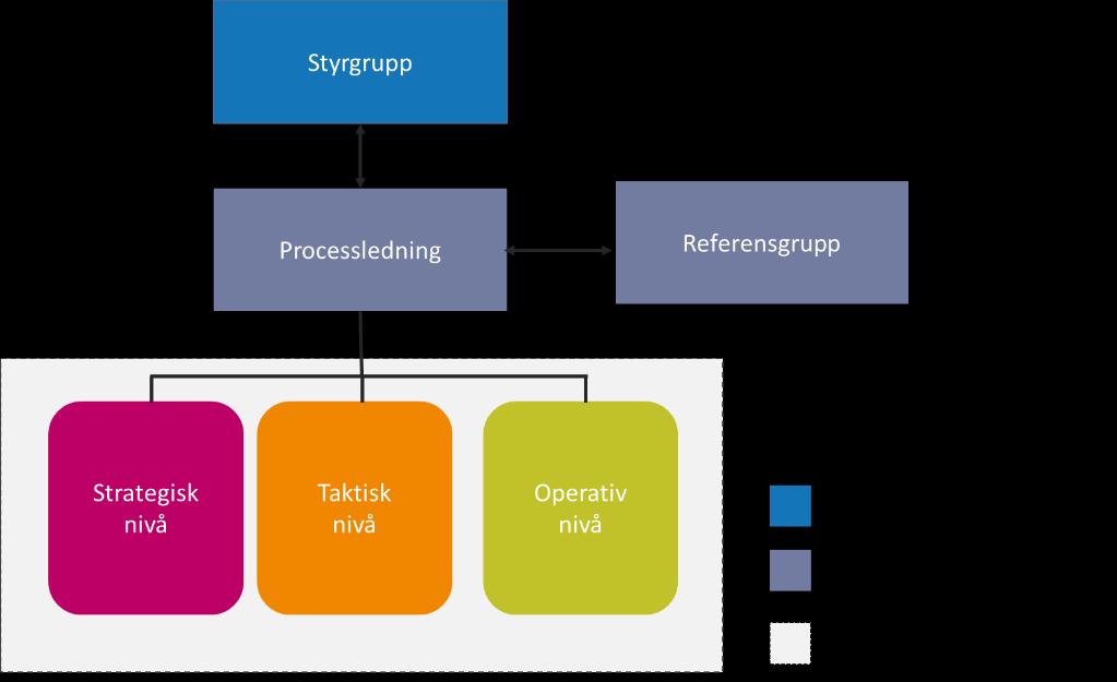 ORGANISATION & STYRNING Förslagsvis är Strategiforum processägare och