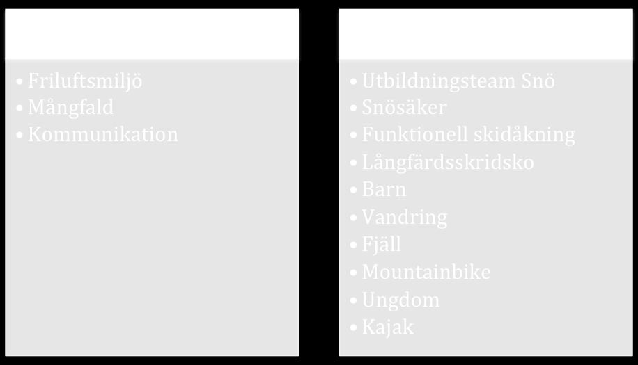 Enligt föreningens stadgar är de två huvudområden för regionen att erbjuda ledarutbildningar till lokalavdelningarna samt att stötta lokalavdelningarna i deras verksamhetsutveckling.