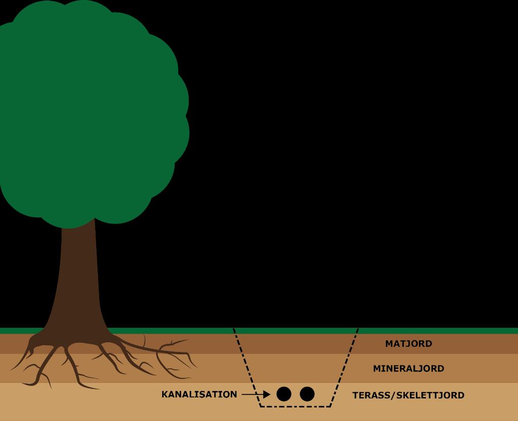 28 Exempel på återställning vid träd. TF.4.2 Återställning i park- och naturmark Vid grävning i park och skog återställs ytorna till ursprungligt skick.