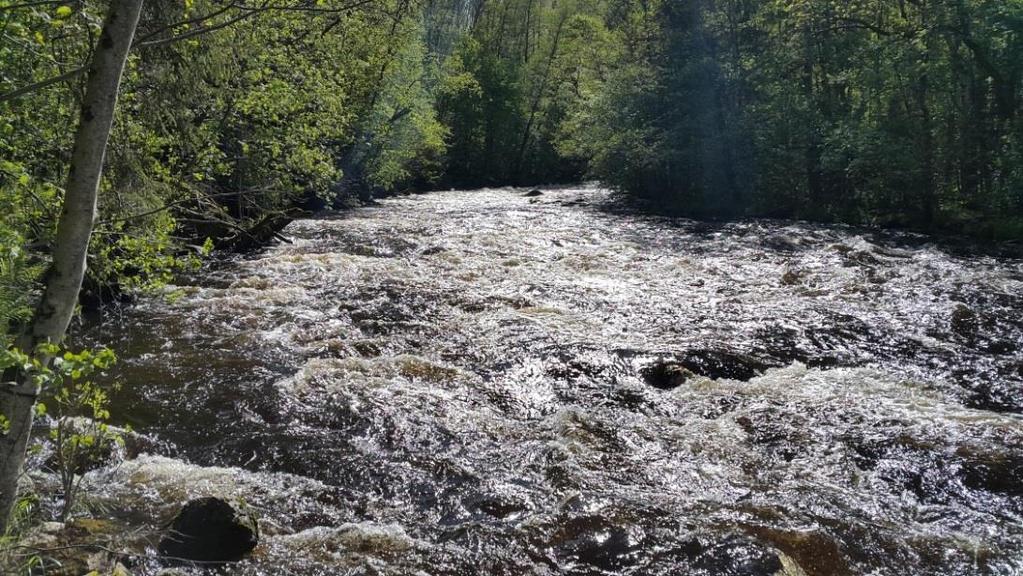22 (31) vinsidor. Forsen är 1 200 meter, jämt forsande utan trösklar och lugnvattenpartier. Långforsen har aldrig varit utbyggd. Ett antal bifurkationer skapar kvillområden och sidofåror.