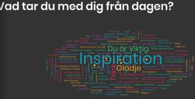 12 Under vintern 2018/2019 ska projektet utvärderas och beslut tas kring vad som händer i framtiden. 5.2.2 Rätt stöd rätt försörjning Arbetet kring rehabilitering av personer som saknar sjukpenninggrundande inkomster är viktigt och uppmärksammans både lokalt, regionalt och nationellt.