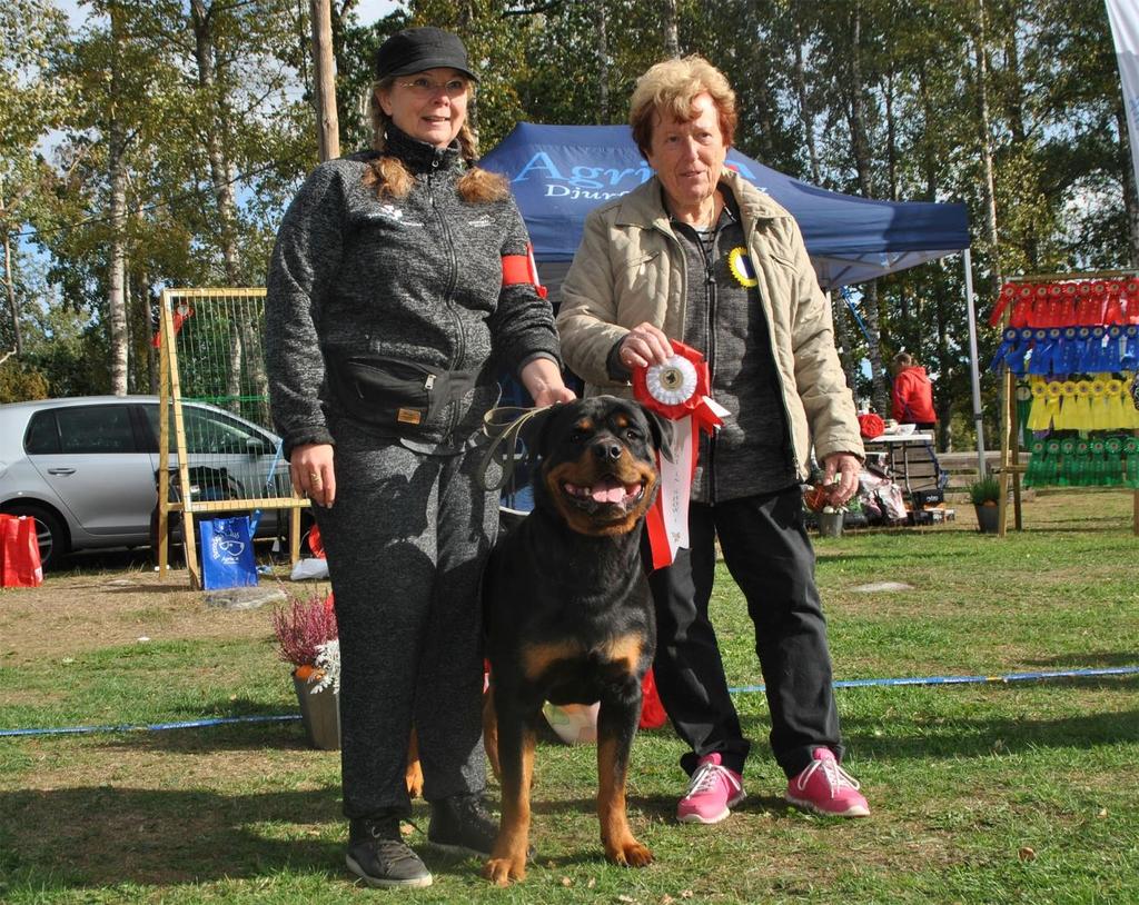 NYBRO BK:s HÖSTUTSTÄLLNING 2018-09-29 Officiell 93 anmälda hundar BIS-Domare: Yvonne Brink BEST IN SHOW Rottweiler KORAD SPH I TJH Kämparglöds Monsun SE20894/2015 Hanhund Äg. Stang Marie, Kalmar Uppf.