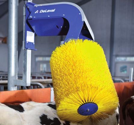 DeLaval frihängande ryktborste SCB Borgar för bättre komfort DeLaval Sales AB Box 21, 147 21 Tumba Tel 08-550 294 00, Fax 08-550 339 15 e-post sverige.info@delaval.