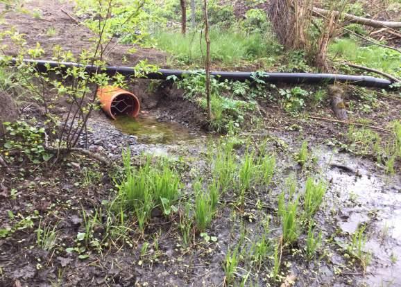 Skyddsåtgärder ska ses som nödvändiga för att bevara åns naturkvalitéer. Kompensationsåtgärder brukar i vardagligt tal användas för åtgärder som ska ersätta ianspråktagen naturmark.