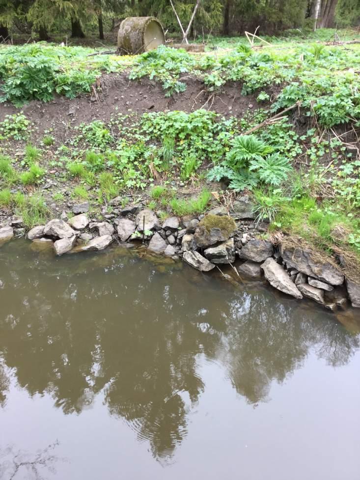 på kompensationsåtgärder 2017-06-05 Längre nedströms finns en stenskoning (figur 10) som hindrar åns naturliga meandring (område 2 figur 7).