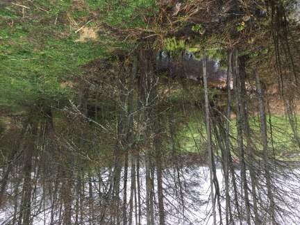 Naturvärdesobjekt 2, Lövsumpskog Naturvärdesklass Säkerhet Inventerare Naturtyp Biotop Påtagligt naturvärde Säker Mova Hebert Skog och träd Lövsumpskog Motivering Naturvårdsarter Biotopvärde Artvärde