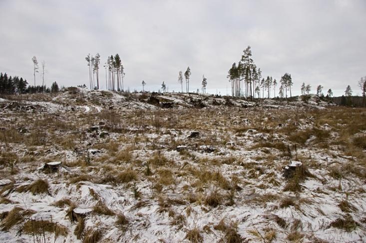 Övergödning börjar med att mer kväve och fosfor kommer ner i ett vattendrag än vad som är naturligt.