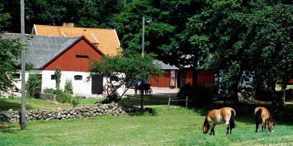 Allmänt villkor Sveland