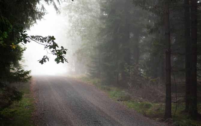 Vi har som mål att göra hela vår koncern koldioxidneutral tills 2021. På det sättet bidrar vi till regeringens övergripande mål om att göra Sverige klimatneutralt tills 2045.