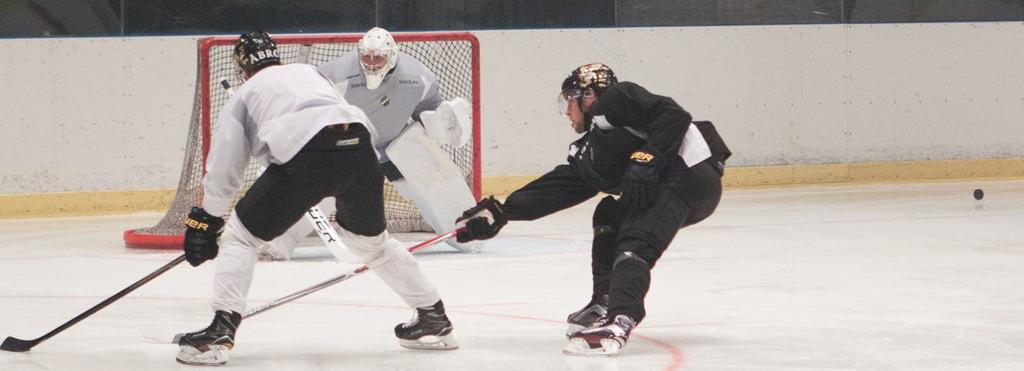AIK HOCKEY BUSINESS NETWORK Fokus på att skapa kontakter och affärsmöjligheter. Investering på 25 000 kr.