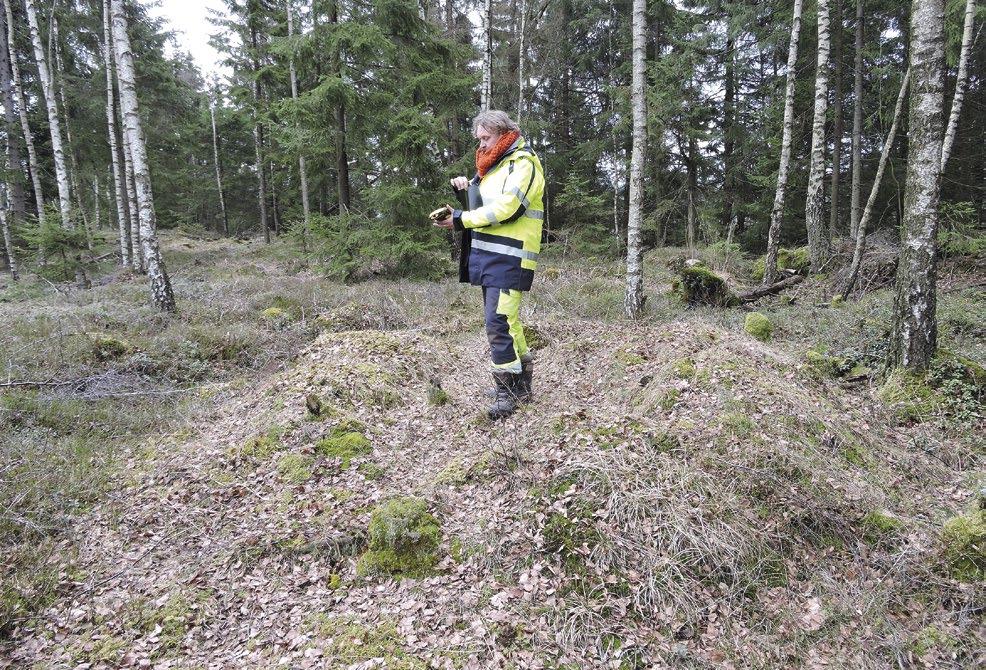 Sentida bebyggelselämningar och skyttevärn i Härryda 13