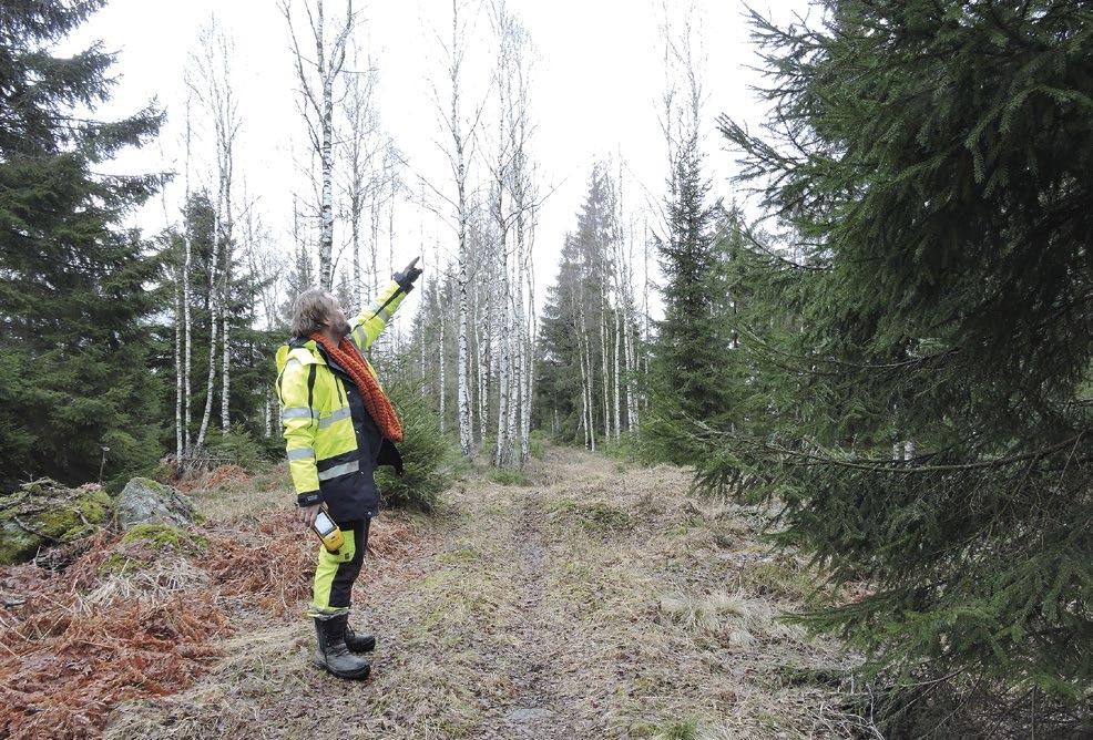 Sentida bebyggelselämningar och