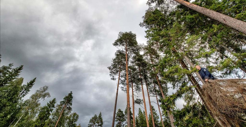 Vi hjälper dig lyfta ditt företag! Västmanland Turism har utvecklat en process som ger dig möjlighet att välja nivå på ditt samarbete med oss. Det finns tre nivåer: Klara, Färdiga och Kör!