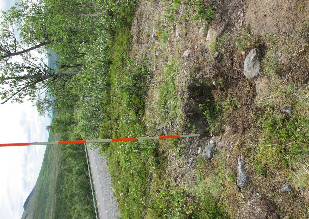 Återställning av en skadad fornlämning Undersåker 205:1 boerne mjölkgrop