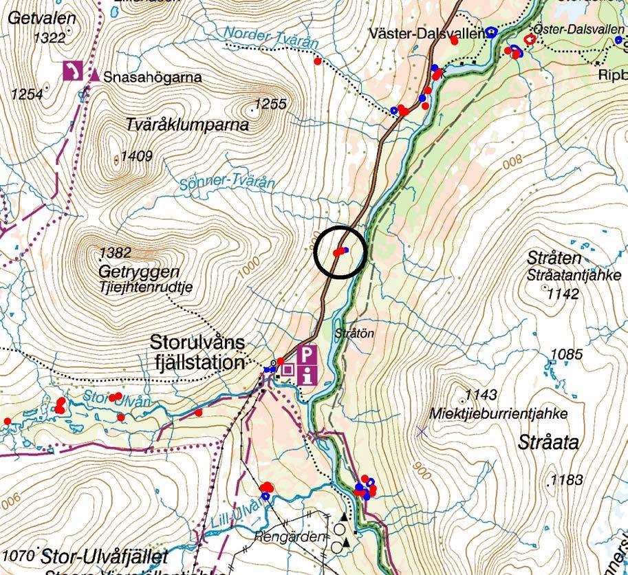 Natur- och fornlämningsmiljö Återställningsobjektet ligger i sedimentmark i fjällbjörkskog på en markerad åsbildning på 743,4 meter över havet. Läget är karaktäristiskt för lämningstypen.