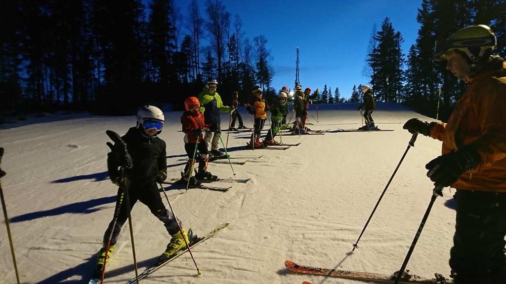 det mesta, ibland fler. Gruppen innehåller alla skicklighetsnivåer från de som behöver hjälp med plogningen till de som åker med skärande sväng.