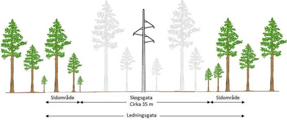 Sidområde Skogsgata Cirka 35 m Ledningsgata Sidområde Figur 4. Exempel på ledningsgata för luftledning i ny sträckning med rörstolpe. Med en enbent stolpe, t.ex.