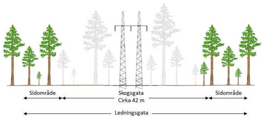 Exempel på ledningsgata för luftledning i ny sträckning med fackverksstolpe av stål. Med denna typ av stolpe beräknas ledningsgatans bredd bli cirka 40-42 meter i ny sträckning.