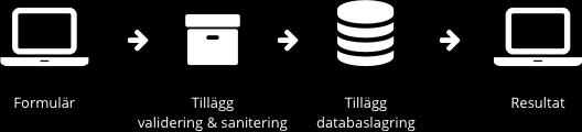 De dynamiska testerna mot SQL- injection görs sedan automatiskt på tilläggen med hjälp av penetrationstestningsverktyg.