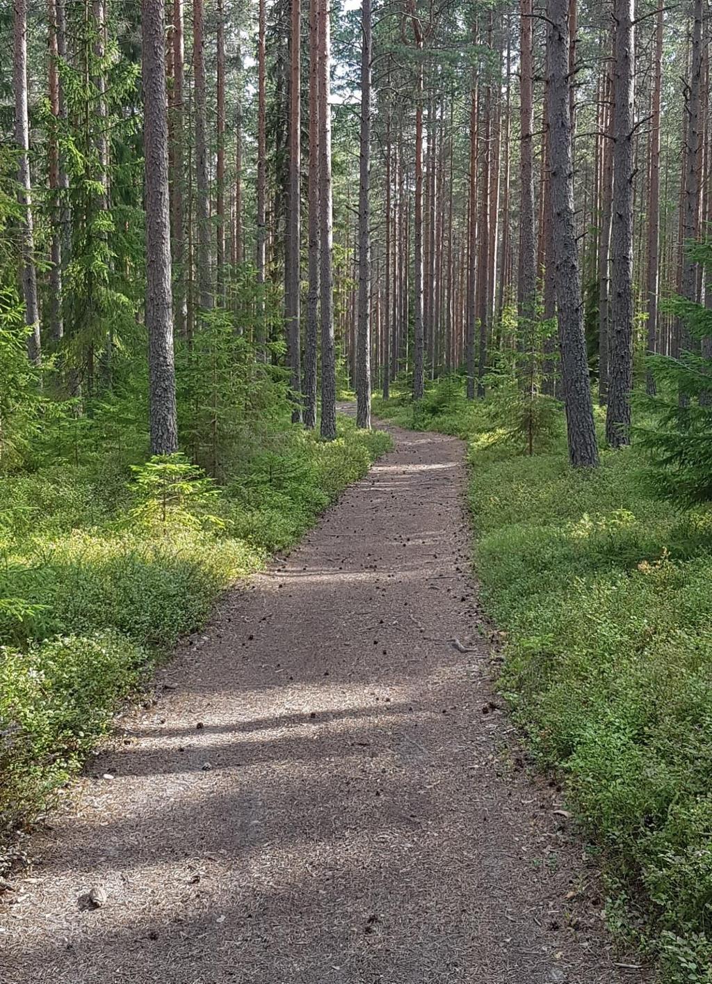 Lärdomar hittills vecka 6 Svårt att komma igång med LF i grupp Man är själv osäker i LF coaching Man känner inte varandra