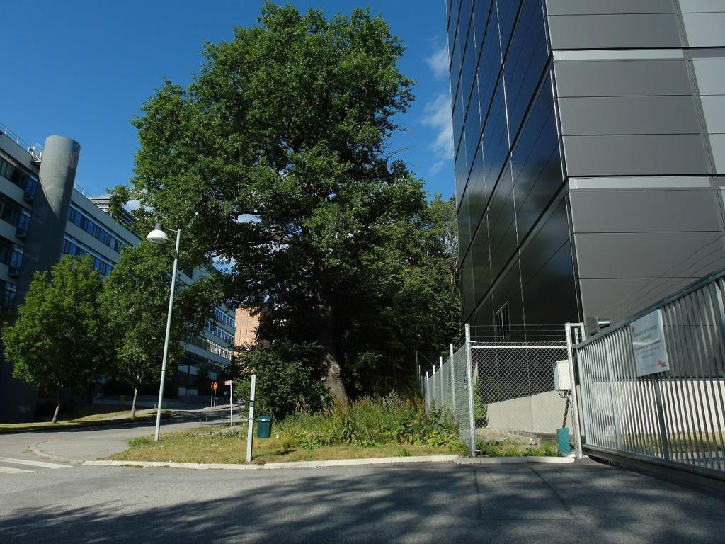 Bilaga 3 Miljöbilder En underkvistad men ändå
