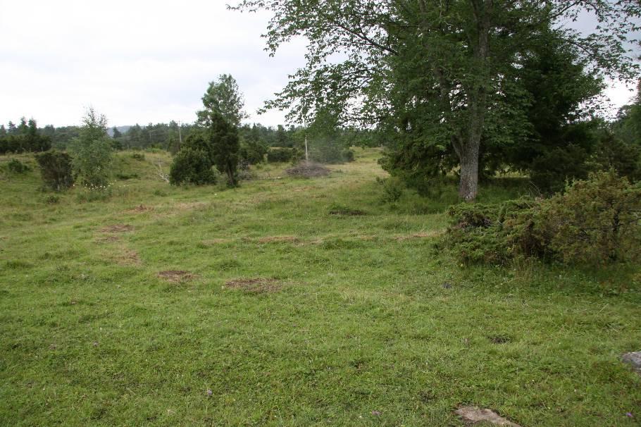 Övrigt Omgivningen utgörs av betesmarker. Endast små arealer vall/ åker finns i områdets närhet.