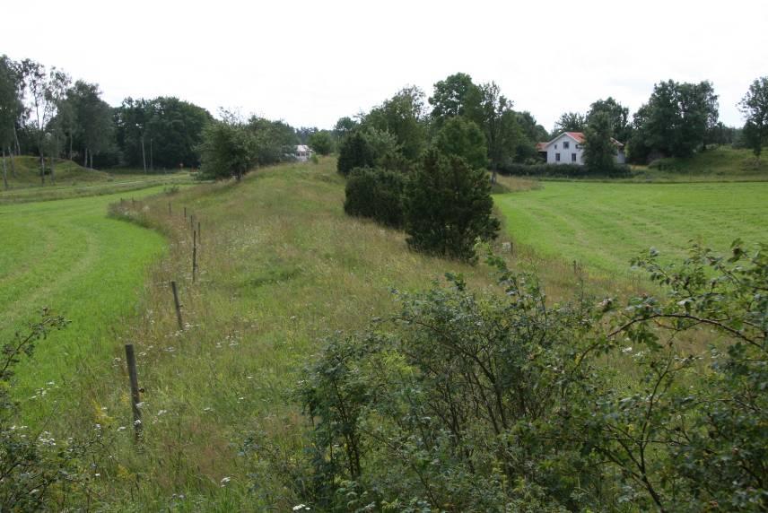 Brudbröd, ängshavre, gullviva, prästkrage och stor blåklocka noterades av de typiska stäppängsarterna.