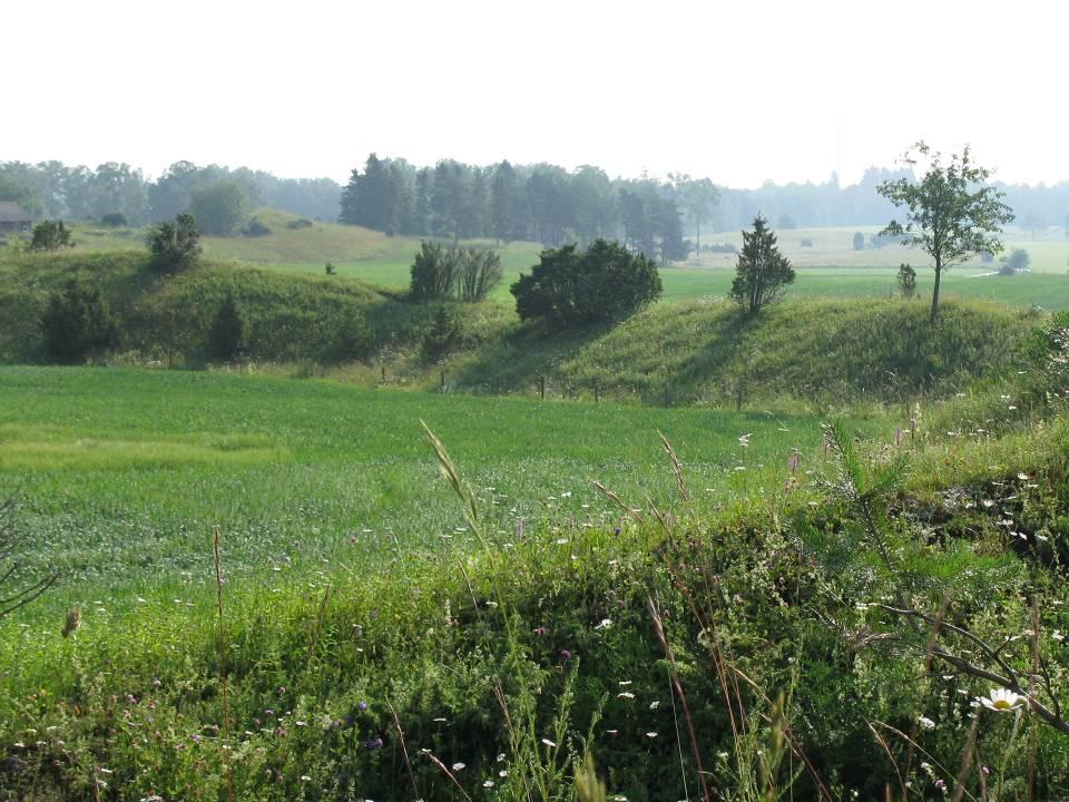 Gaddstekelfaunan på stäppartade torrängar i Västergötland 2009 Text: Peter