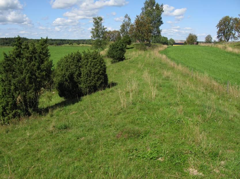 I närheten ligger fler hävdade rullstensåsar som ser ut att vara lämpliga gaddstekellokaler. Vegetationen är kvävepåverkad med mycket gräs som hundäxing och relativt lite blommor.