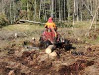 JOHANS TRX: ORDENTLIGT PLÅGAD, MEN MYCKET ÄLSKAD Johan Nilsson driver en gård med lantbruk, köttdjur och skog en bit utanför Bollebygd i Västergötland.