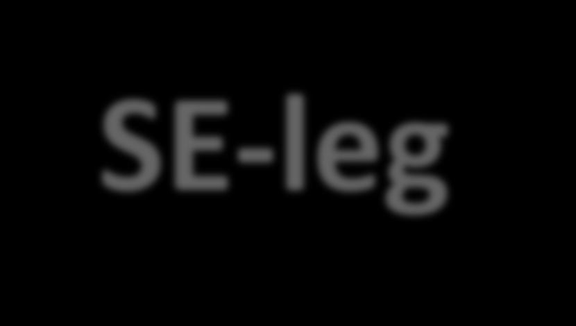 SE- leg