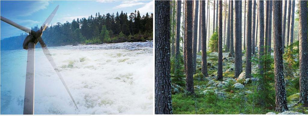 Holmen är idag ett skogsägande bolag med lönsamma industrier där skog och vattenkraft står för två tredjedelar av tillgångarna.