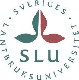 Växtplanktons rehabilitering i försurade sjöar efter kalkning; Resultat från