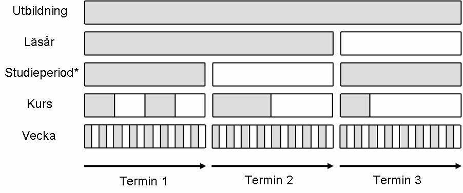 det därför var lämpligt att den tidsenhet för vilken studiestöd beviljas skulle anpassas till detta. 15 Flera olika tidsperioder skulle i och för sig kunna användas som tidsbas för studiestödet.