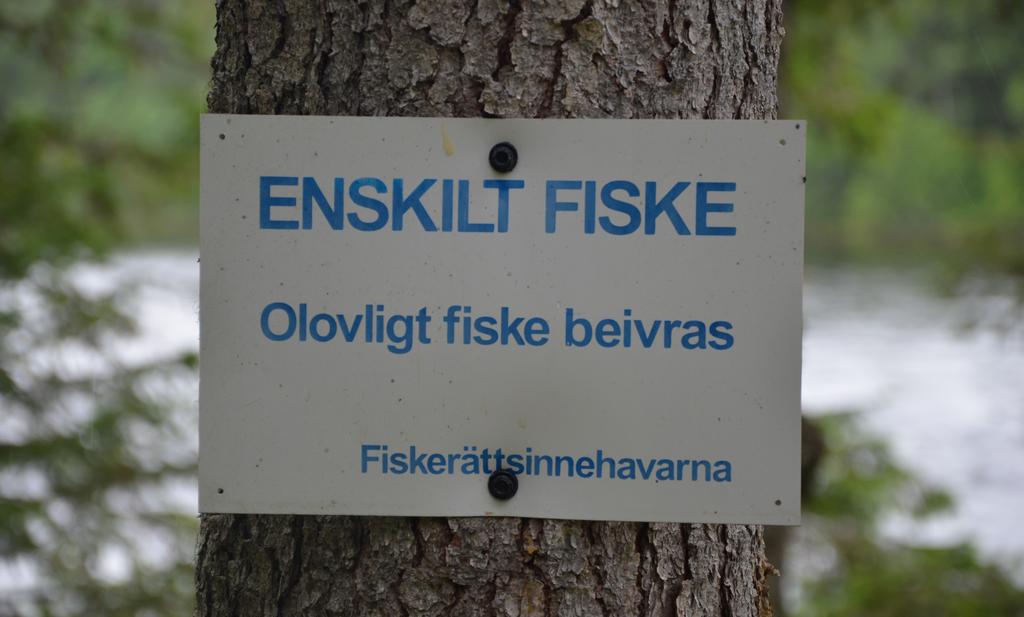 Om jag köper fiskekort i ett fiskevårdsområde, är jag då medlem? Nej, medlem i en fiskevårdsområdesförening är den som äger fiskerätt i området.