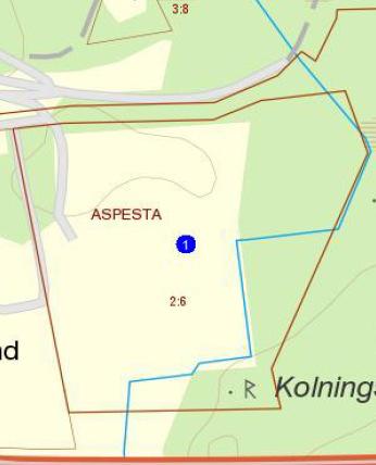Enligt uppdragsgivaren skall värderingen användas som beslutsunderlag vid ett eventuellt förvärv.