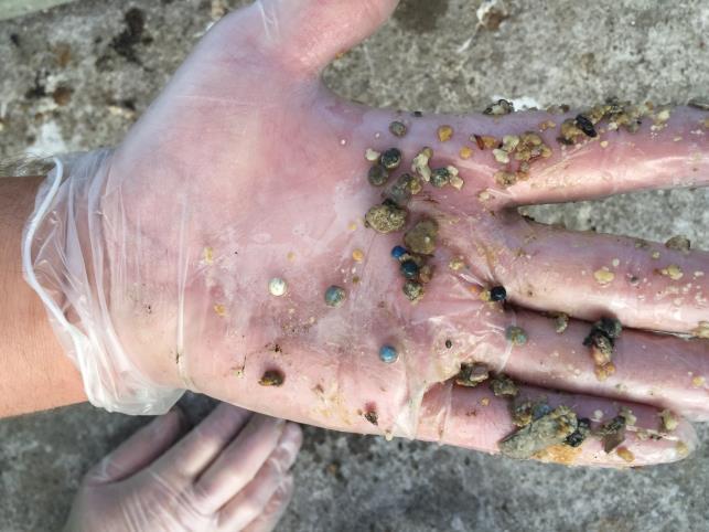 Under året förekom utsläpp av plastgranuler i inkommande reningsverket, i det externa slammet och i en pumpstation i Asmundtorp.