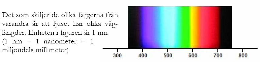 Olika delar av ljuset har