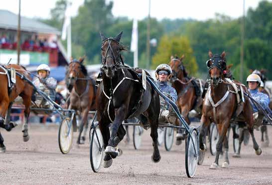 GÄVLETRAVET EXTRA BILPROVSTART GÄLLER LOPP 4 OCH 10 I samband med defileringen till varmblod- och kallblodiga lopp med autostart för hästar upp till 100.