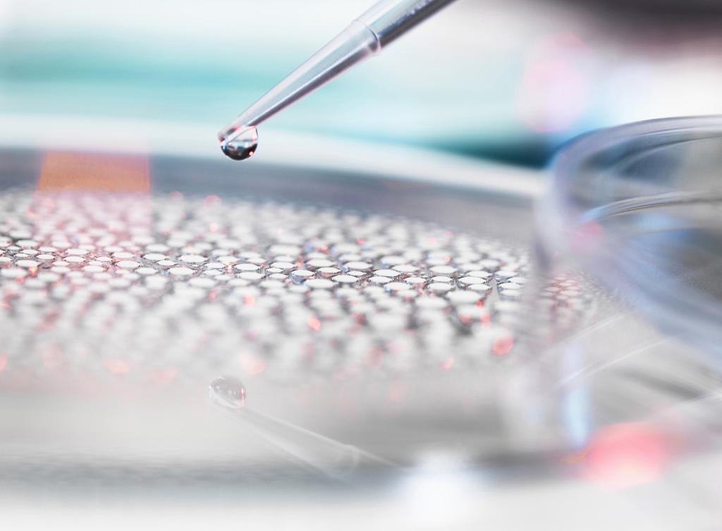 RHENMAN HEALTHCARE EQUITY L/S Enastående långsiktig avkastning i en komplex sektor Juli 2018 IC1 (EUR) +4,32% RC1 (SEK) +2,99% +21% genomsittlig årlig avkastning (efter avgifter) sedan fondstart.