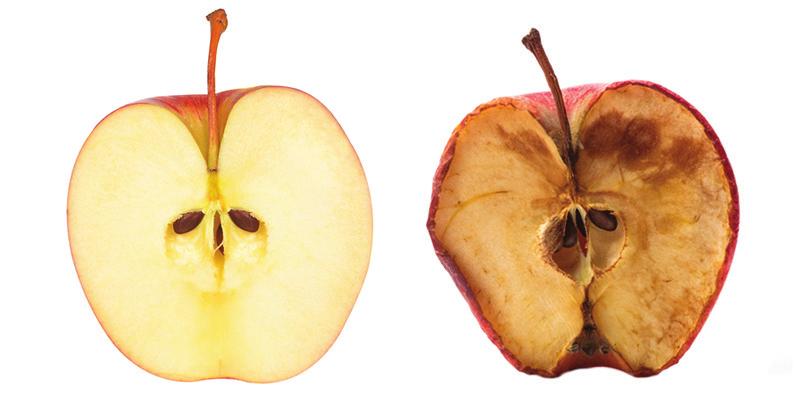 Vad är oxidativ stress? Människokroppens vävnader, celler och molekyler utsätts för ett ständigt kemiskt slitage som kallas oxidativ stress.