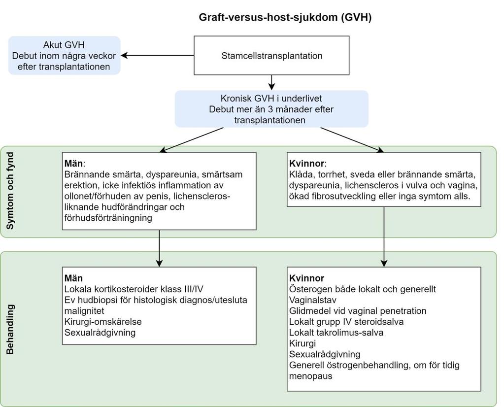 9.3 Översikt 9.4 GVH hos kvinnor 9.4.1 Symtom och fynd Klåda, torrhet, sveda eller brännande smärta, dyspareuni, eller inga symtom särskilt om kvinnan inte har samlag.