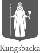 Revisionsplan 2017
