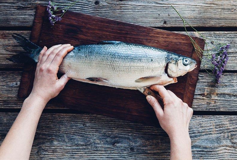 FENA 2017 M AT Nappa på så här hanterar du fisken Inget smakar bättre än fisk man själv fångat!