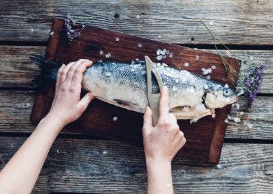 Ifall du behöver öva på fiskhantering eller vill få omväxling på fiskbordet, kan du pröva stekt sesam-sikfilé på asiatisk salladsbädd eller gravad sik med pigg grapefrukt.