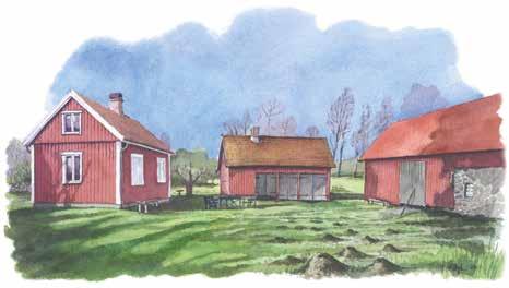 Björkelund. Bild: Willy Lindström. ha hjälp att slipa ditt lieblad? Här kan du få hjälp med slipning och liehantering av våra instruktörer.